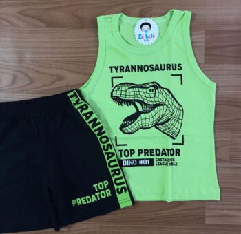 Conjunto - Menino
