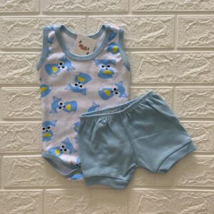 Conjunto - Raposinha