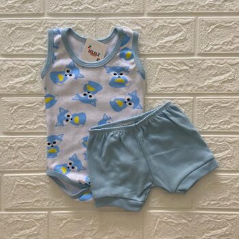 Conjunto - Raposinha