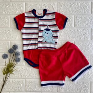 Conjunto - Foca