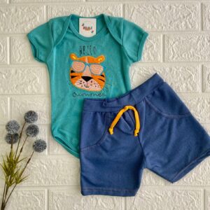 Conjunto - Tigre
