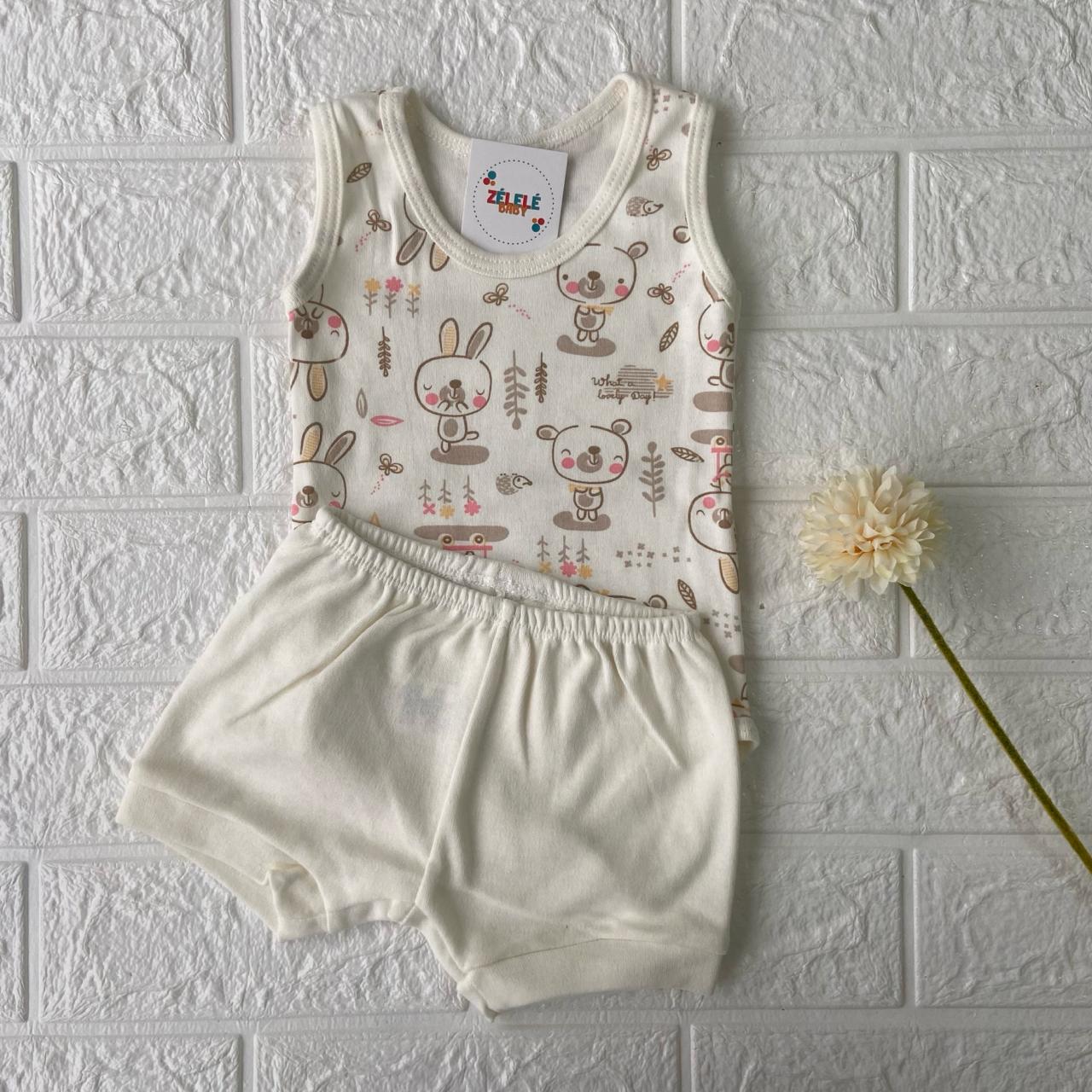 Conjunto - Coelinha
