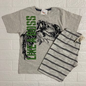 Conjunto - Dinossauro