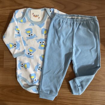 Conjunto - Raposa